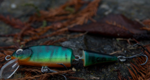 Особливості строю спінінгів