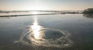 Весняна риболовля