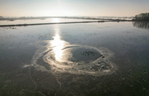 Весняна риболовля