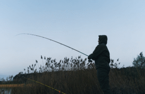 Ключові секрети ловлі трофейного коропа: досвід, що працює