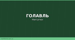 Голавль на малих річках: повадки, снасті та кращі приманки навесні