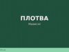 Плотва навесні: де шукати, чим прикормити та на що ловити