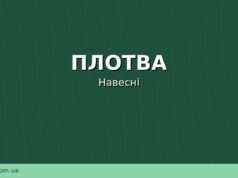 Плотва навесні: де шукати, чим прикормити та на що ловити