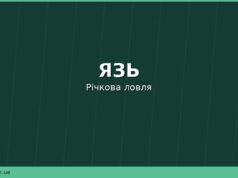 Язь: де водиться, чим харчується та як його ловити на річках України