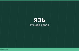 Язь: де водиться, чим харчується та як його ловити на річках України