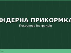 Як правильно замішати фідерну прикормку: консистенція, зволоження та ароматика