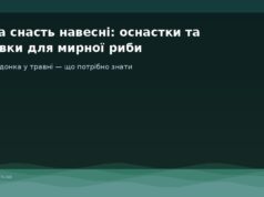 Донна снасть навесні: оснастки та наживки для мирної риби