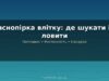 Краснопірка влітку: де шукати, снасті та техніка ловлі