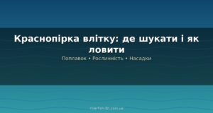 Краснопірка влітку: де шукати, снасті та техніка ловлі