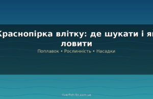 Краснопірка влітку: де шукати, снасті та техніка ловлі