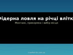 Фідерна ловля на річці влітку: монтажі, прикормка і вибір місця