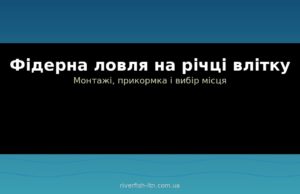 Фідерна ловля на річці влітку: монтажі, прикормка і вибір місця