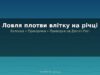 Ловля плотви влітку: снасті, наживки і де шукати на річках України