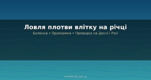 Ловля плотви влітку: снасті, наживки і де шукати на річках України