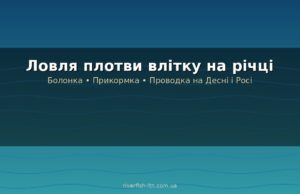Ловля плотви влітку: снасті, наживки і де шукати на річках України