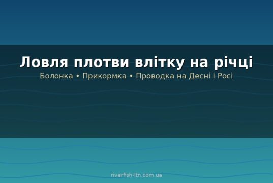 Ловля плотви влітку: снасті, наживки і де шукати на річках України