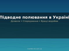 Підводне полювання: як воно відрізняється від риболовлі та де практикується в Україні