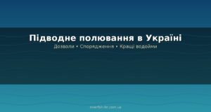 Підводне полювання: як воно відрізняється від риболовлі та де практикується в Україні