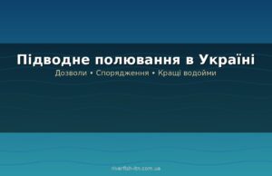 Підводне полювання: як воно відрізняється від риболовлі та де практикується в Україні