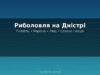 Риболовля на Дністрі: риба, місця, сезони і що потрібно знати перед виїздом