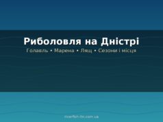 Риболовля на Дністрі: риба, місця, сезони і що потрібно знати перед виїздом