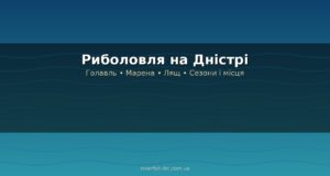 Риболовля на Дністрі: риба, місця, сезони і що потрібно знати перед виїздом