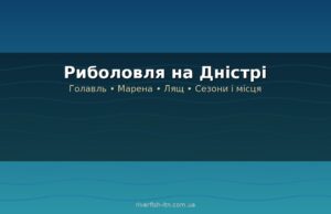 Риболовля на Дністрі: риба, місця, сезони і що потрібно знати перед виїздом