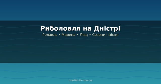 riverfish-9.jpg